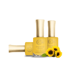 New Holiday Earth Nail Polish Collection